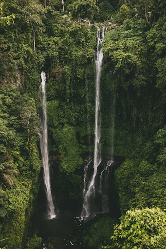 Sekumpul Waterfalls hike