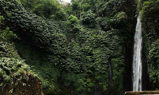 Hunting for waterfalls in Munduk