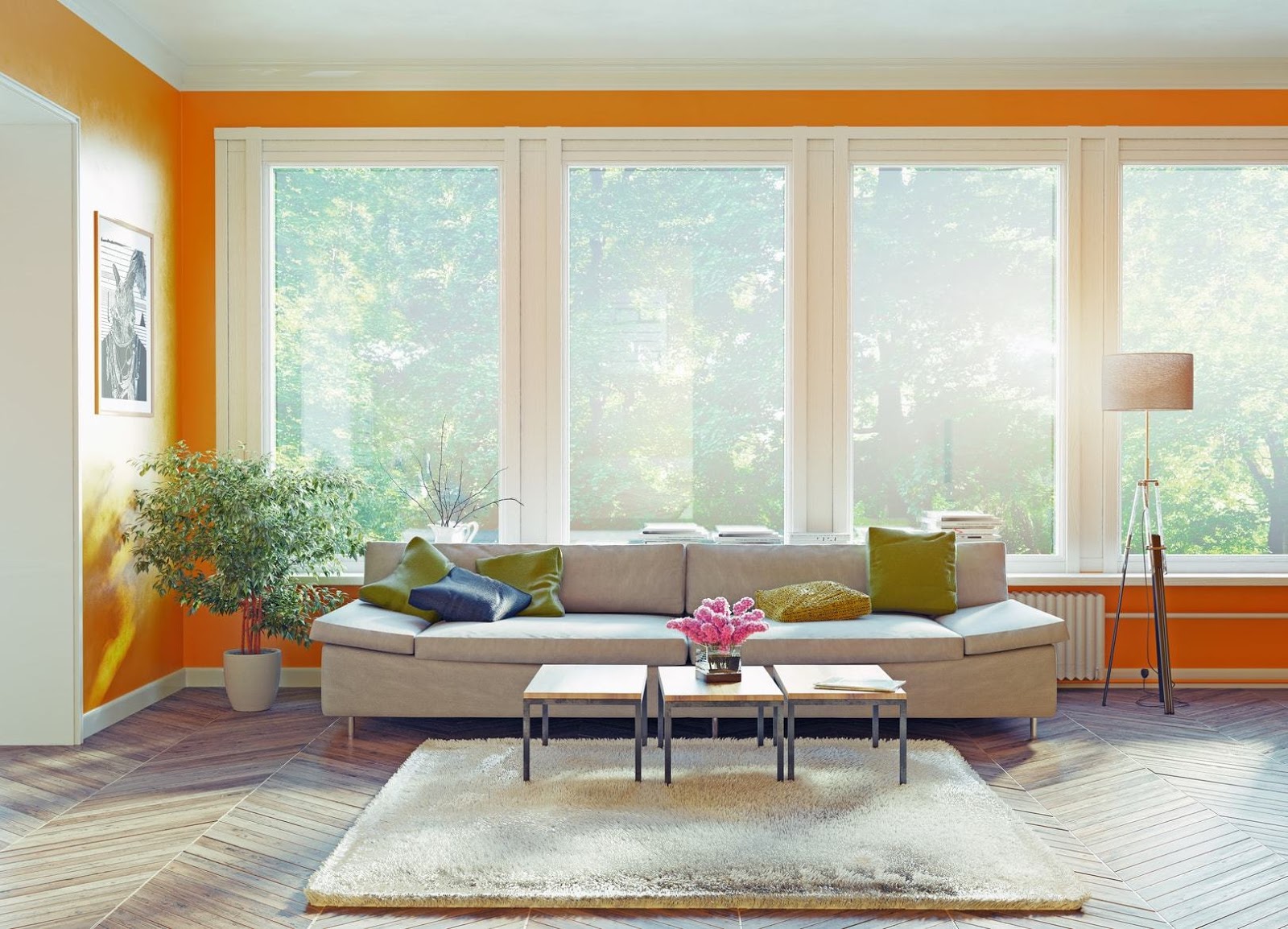 Add More Natural light Into your Home 2