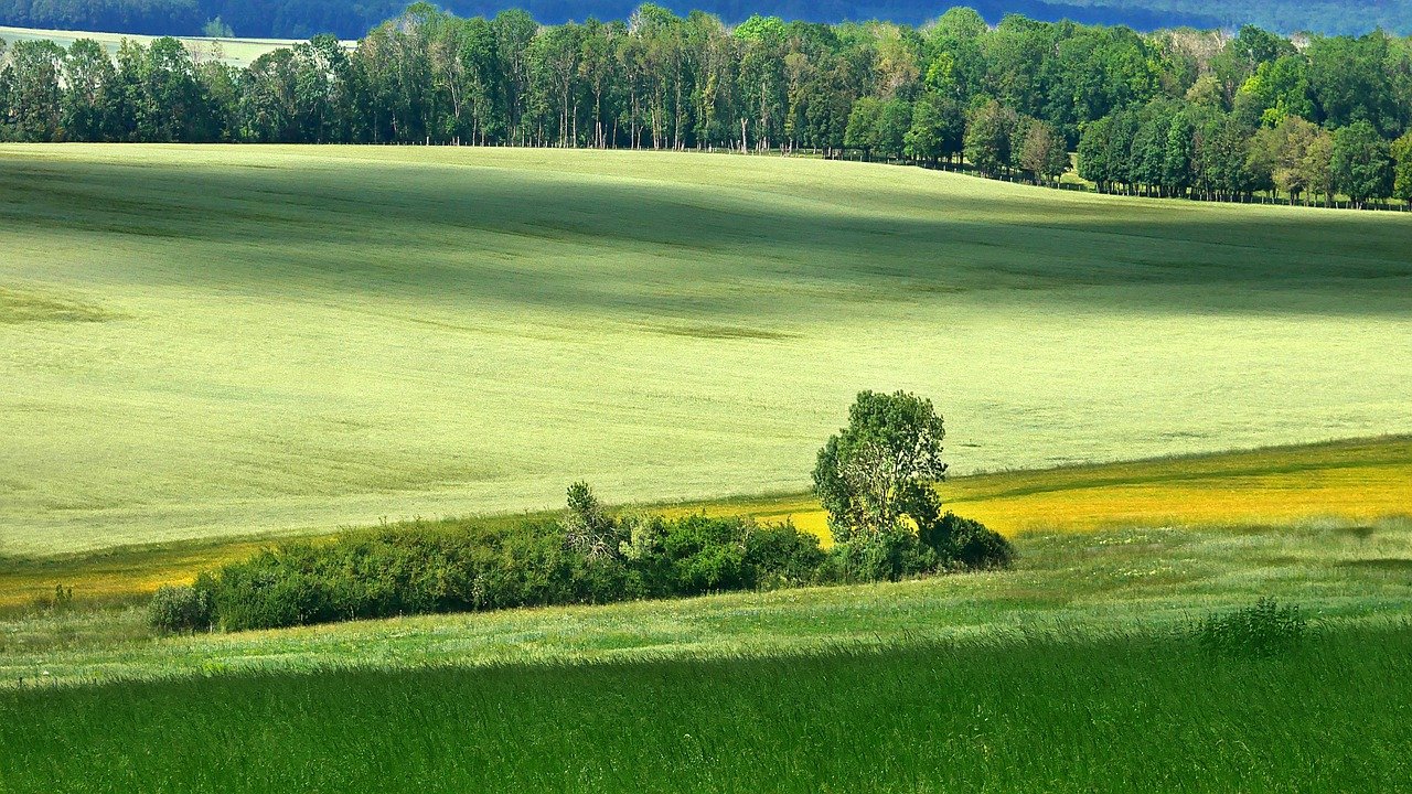 Solar Energy and Environment