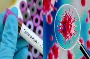 body helps us to fight coronavirus