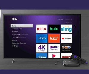 Roku App Development Company