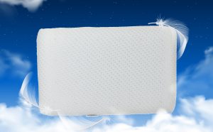 Memory Foam Pillow