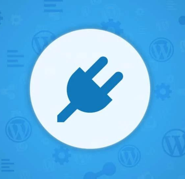 WordPress Plugin Development: Everything You Need To Know